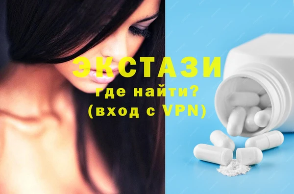 гашик Алексин