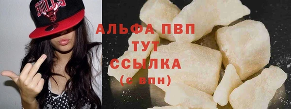 гашик Алексин