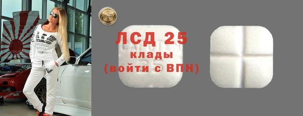 гашик Алексин