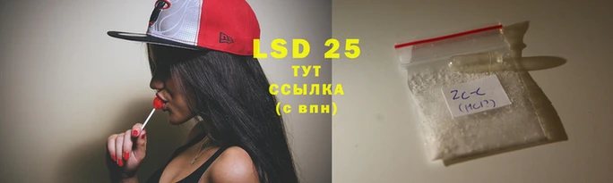 дмт Алзамай
