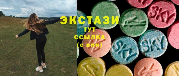 гашик Алексин