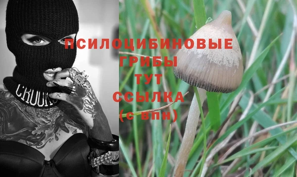 дмт Алзамай