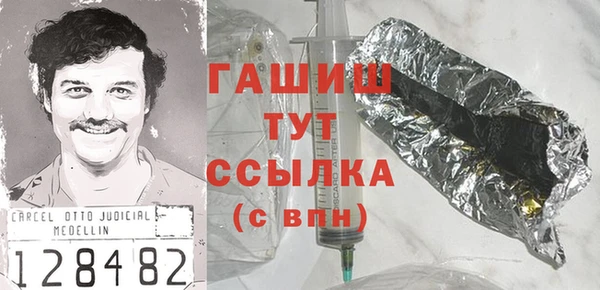 гашик Алексин