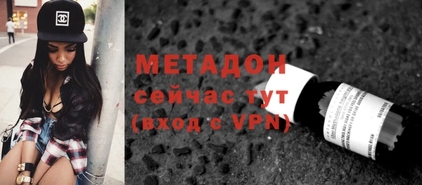 гашик Алексин