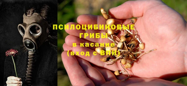 дмт Алзамай