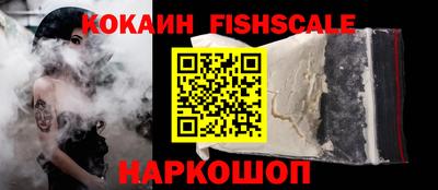 индика Пенза