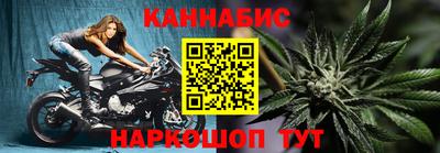 индика Пенза