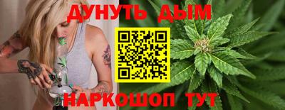 индика Пенза