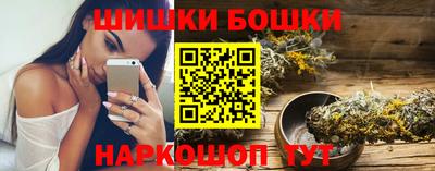 индика Пенза