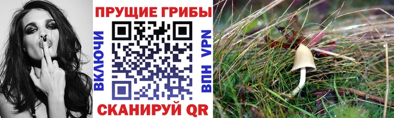 Галлюциногенные грибы Cubensis  hydra как войти  Амурск  цена  