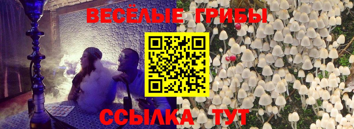 Псилоцибиновые грибы мицелий  Вход с VPN  Амурск 