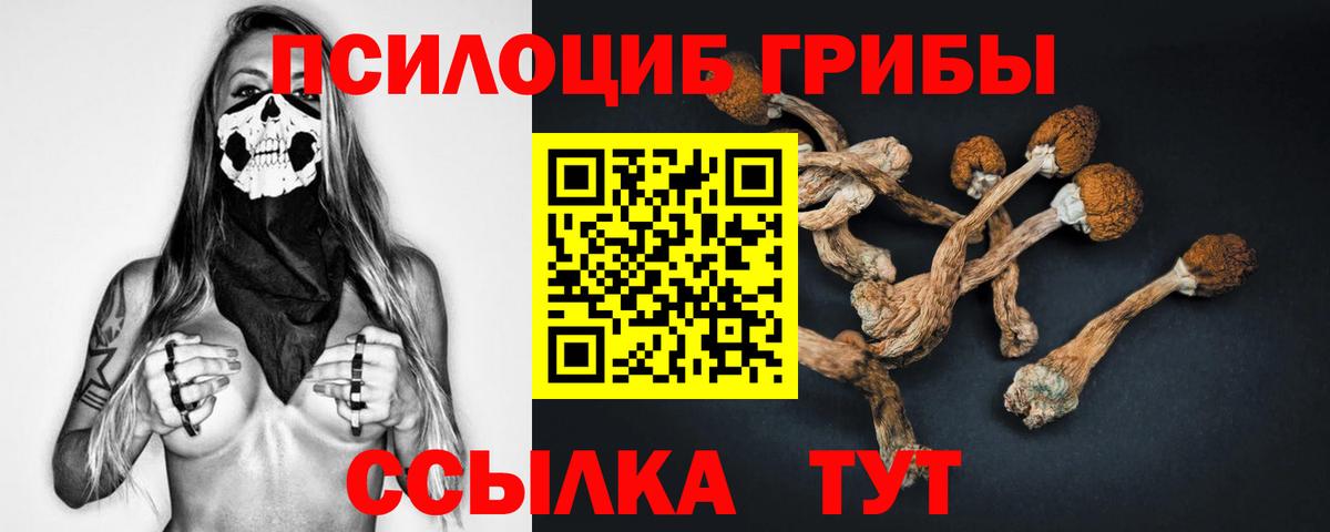 Галлюциногенные грибы ЛСД Амурск